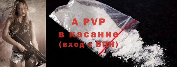круглые Абаза