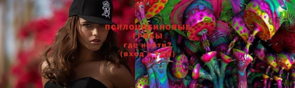 круглые Абаза