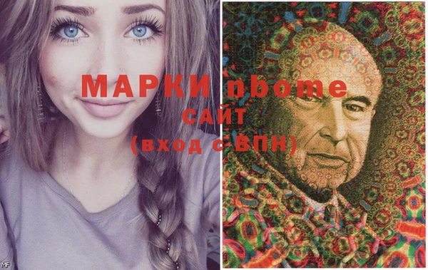 индика Елабуга