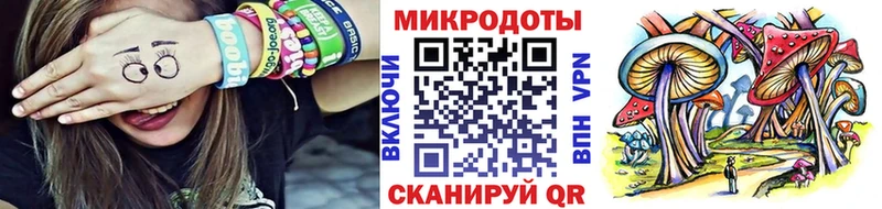 где найти   Хилок  Галлюциногенные грибы GOLDEN TEACHER 